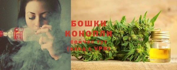 стафф Аркадак