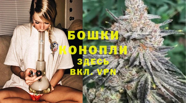 стафф Аркадак