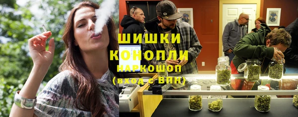 стафф Аркадак